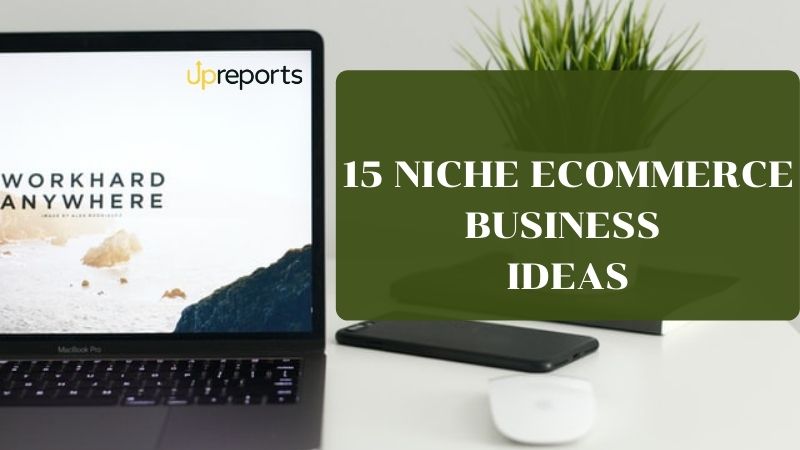 15 Niche Ecommerce Business Ideas for 2021: Grow Online