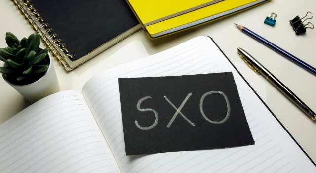 search experience optimization